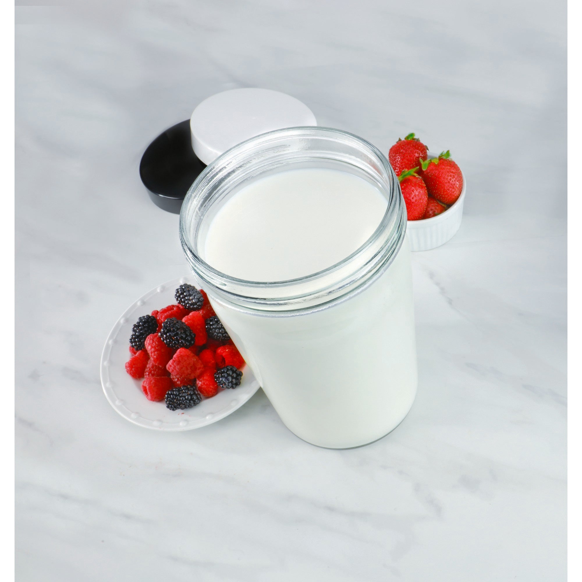 Euro Cuisine YM360 Probiotic Yogurt & Greek Yogurt Maker with Precision Temperature & Time Control, Black – 2qt Glass Jar, Cotton Strainer Bag & Thermometer Included (2025 Edition)