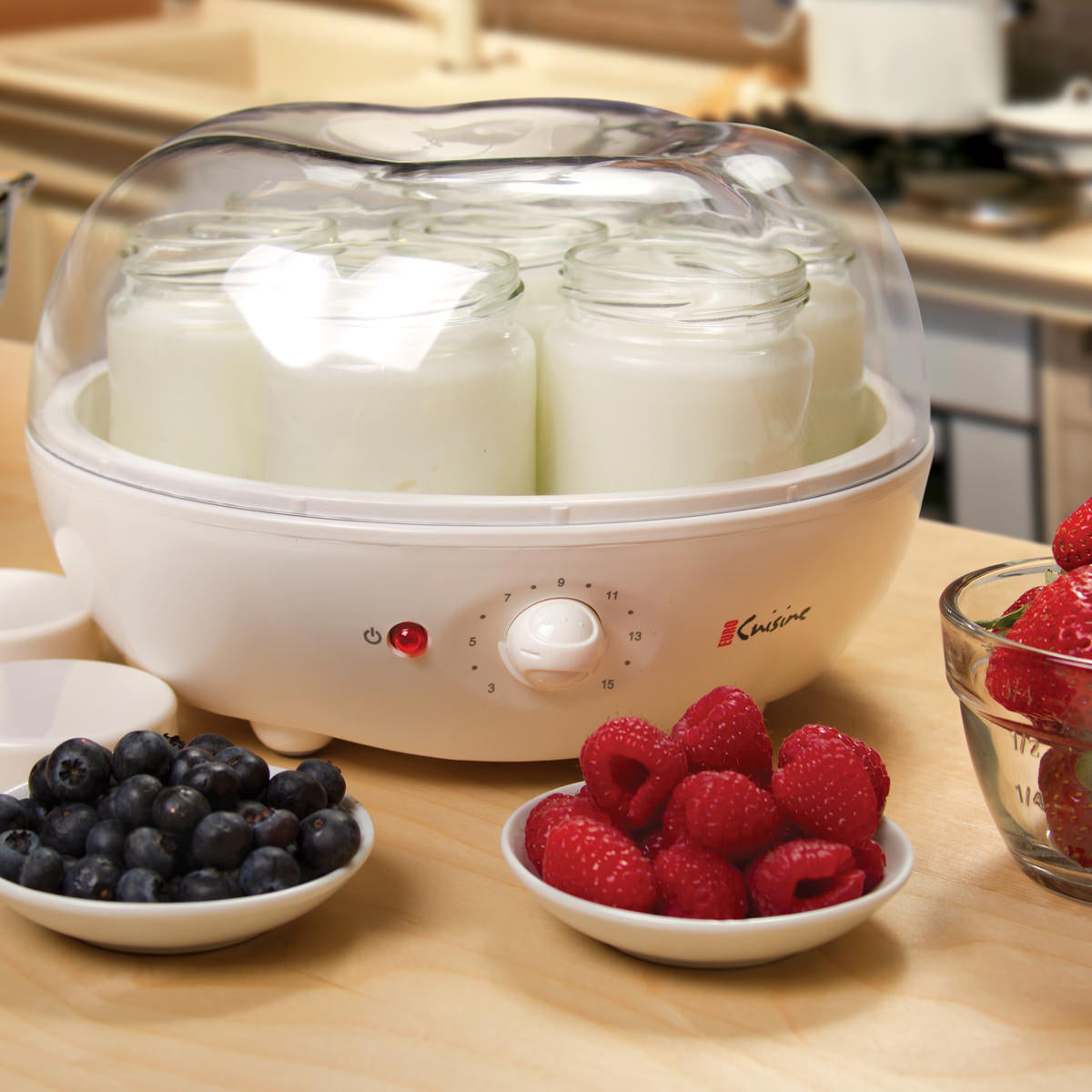 Introducing Our Yogurt Makers